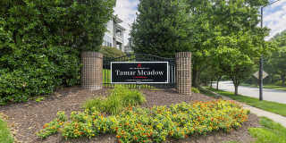 Tamar Meadow Apartments Gallery 4