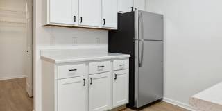 ReNew Woodland North and South Gallery 19