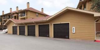 247 N Loop 1604 E Gallery 1