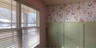 229 Lace Drive Gallery 41