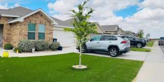 7717 Purple Vitex Gallery 1