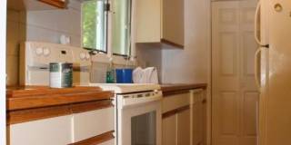 50 UNDINE Gallery 2