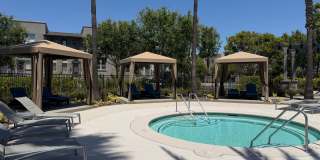 Beautiful  2Bd 2 Ba in Luxury Community Gallery 18