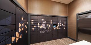 Escher Gallery 16