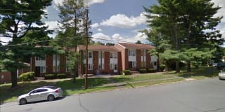 Rose Gardens Gallery 2