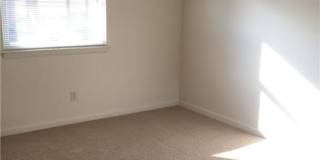 2219 Pine Shore Court Gallery 10