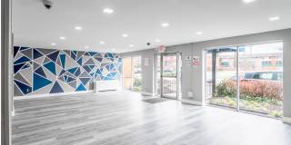 Swift at Riverdale Park Gallery 12