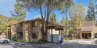 10240 Black Mountain Rd Gallery 21