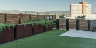 Alexan Webster Gallery 11