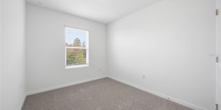32497 MIDSUMMER NIGHT LANE Gallery 18