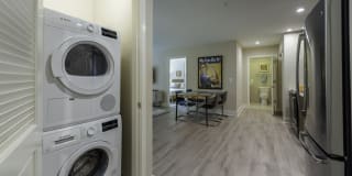 Arcade Sunshine Gallery 46