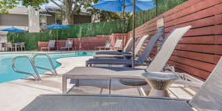 Telegraph Hill Gallery 14