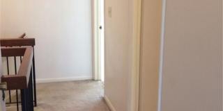 Chimney Hill Gallery 20