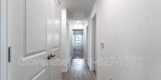 4407 Grassland Pass Gallery 14