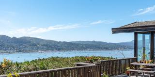 36 Eucalyptus Road Gallery 18