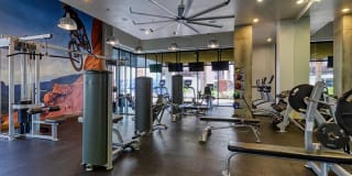 Agave 350 Gallery 30