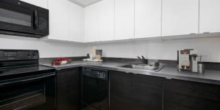 1111 North Dearborn Gallery 19