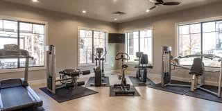 Elevation Luxury Apartments Gallery 21