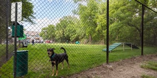 Peppertree Apartments Gallery 11