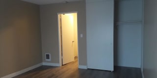 Newport Plaza Gallery 20