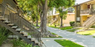 Ventura Terrace Gallery 18