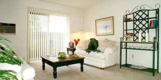 Village East Gallery 10