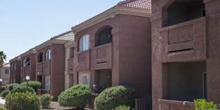 Palm Terrace Gallery 4