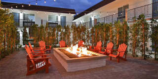 Arcadia Gardens Gallery 6