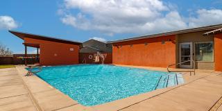 Terra at Enchanted Hills Gallery 10