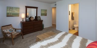 Water Vista Gallery 21
