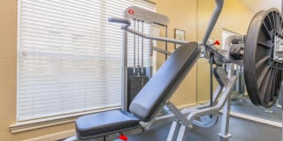 The Avenue Gallery 7