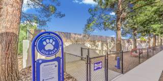 Desert Sage Gallery 47