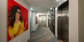 Red Oak at 409 Elm Street Gallery 18