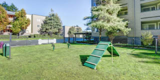 Serramonte Ridge Gallery 12