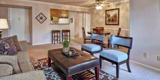 Preston Pointe Gallery 8