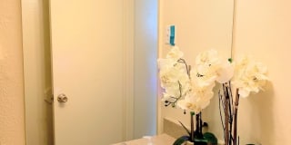 Regis Square Gallery 11