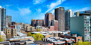 515 West Briar Gallery 14