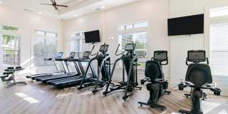 Exchange at Daphne Gallery 19