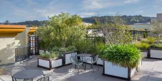 Sterling Addison - Student Housing Gallery 5