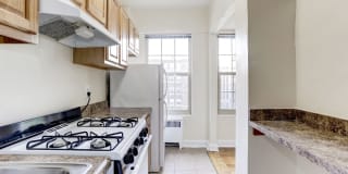 The Roberta Gallery 4