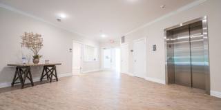 Davis Gardens Gallery 10