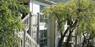 Park Hill Gallery 21