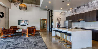 Agave 350 Gallery 26