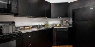 1111 North Dearborn Gallery 29