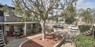 Rancho Vista Apts Gallery 16