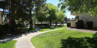 Mountain Vista Gallery 25