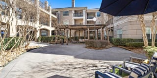 Rise at Elmside Gallery 21