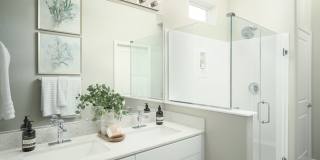 TerraLane At Park McDowell Gallery 13