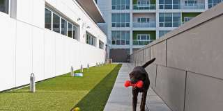 Ovation 309 Gallery 31