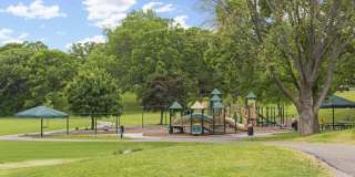 The Westfield Gallery 29